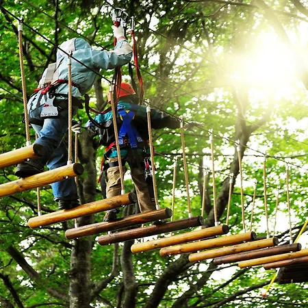 Casa Dei Galli グラヴェドーナ